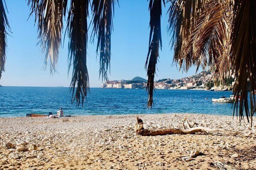 Une plage de galets, une personne allongée sur le sable et des palmiers. 4