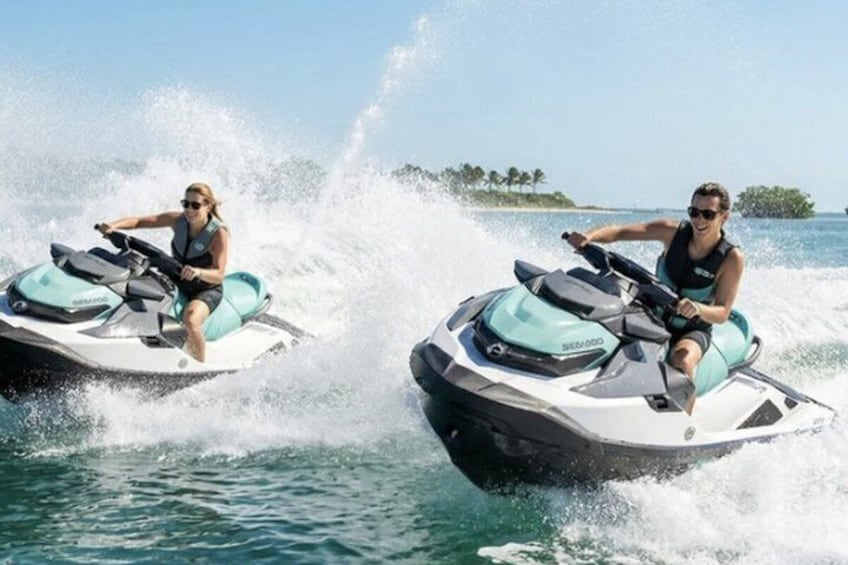 Dolphin Watching Jet Ski Tour in Fort Pierce 5