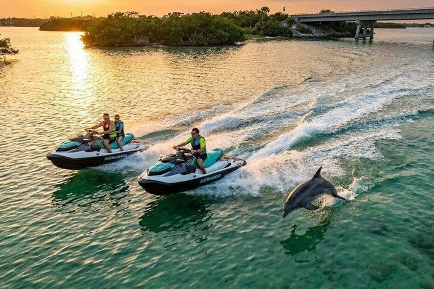 Two jet skis on a body of water with a dolphin jumping out of the water. 3