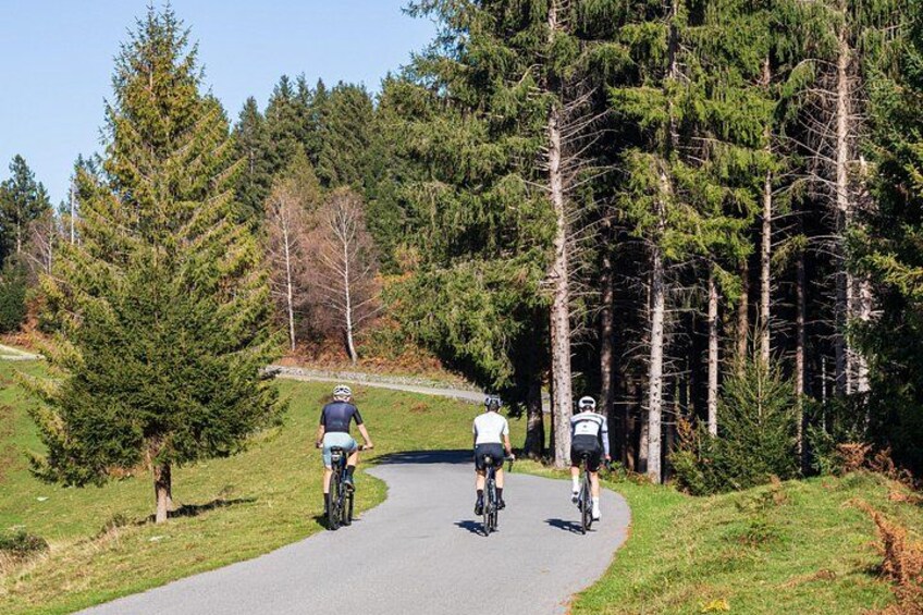 Lake Como Panoramic E-Bike Tour 3