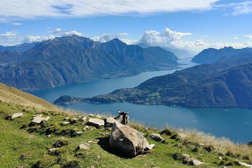 Lake Como Panoramic E-Bike Tour 4