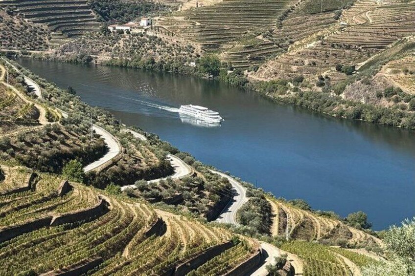 A river with terraced vineyards and a cruise ship. 4