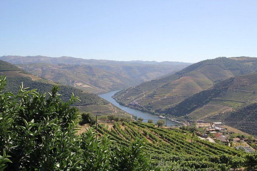 A river winding through terraced vineyards, with hills in the background. 3