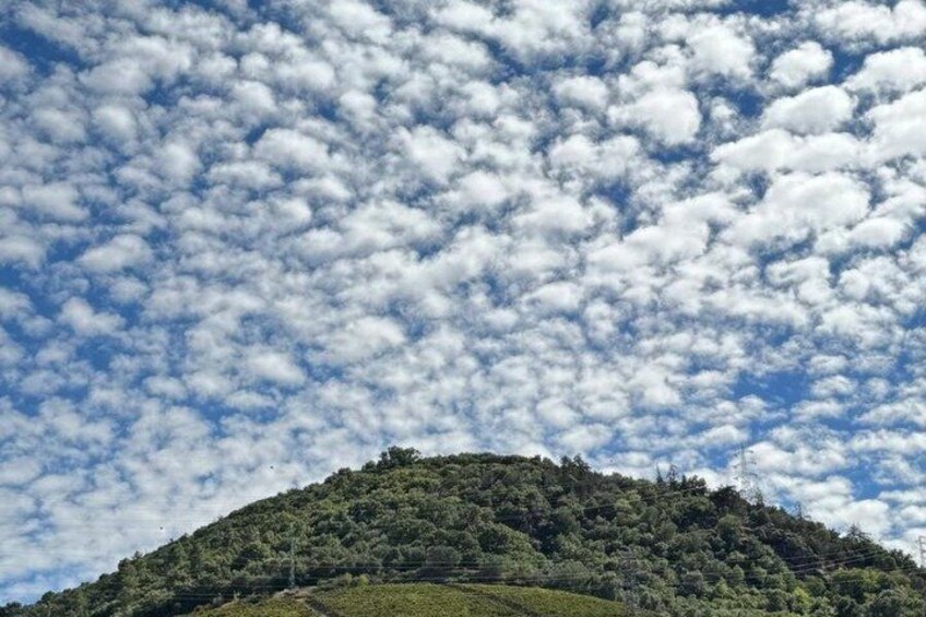 A hill with dense green vegetation under a sky filled with fluffy white clouds. 2