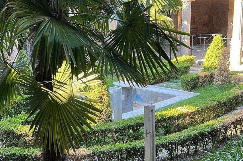 A landscaped garden with a stone bench, palm trees, and neatly trimmed hedges. 5