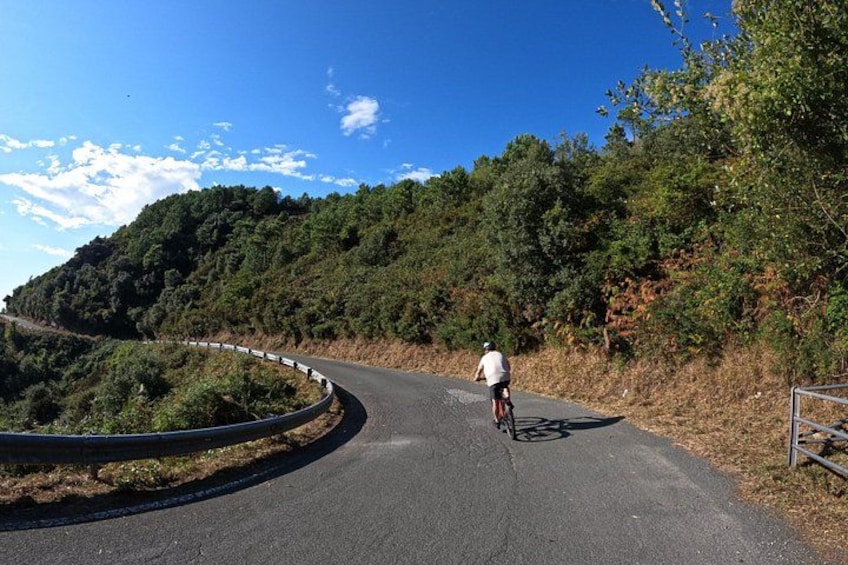 Wine trail by e-bike + aperitif on a farm 4