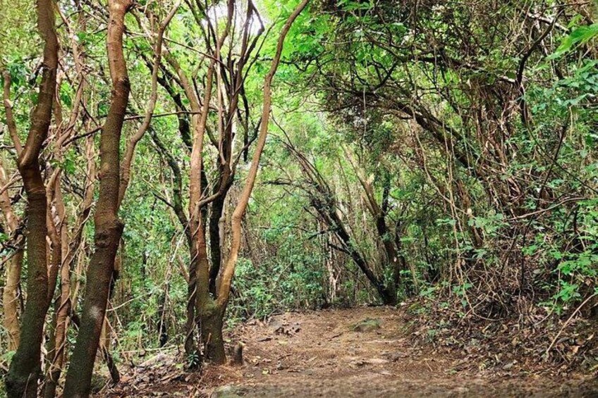 Start of the Hiking 4