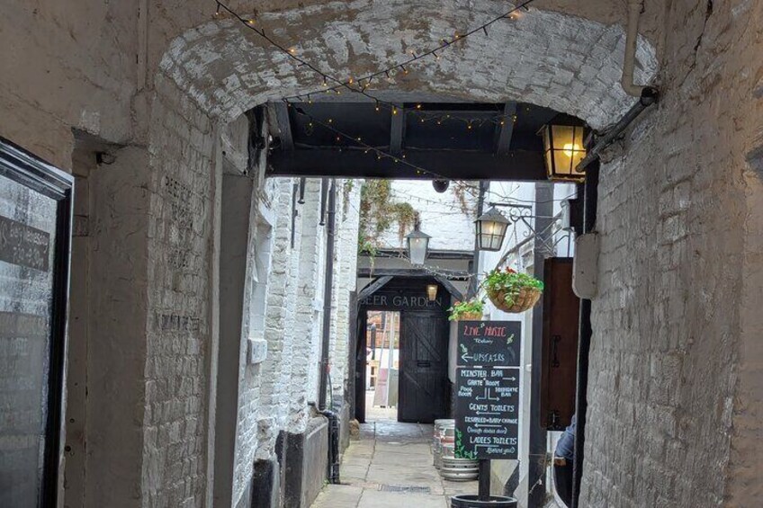 A narrow alleyway with a black gate, a signboard with menu items, and hanging plants. 5