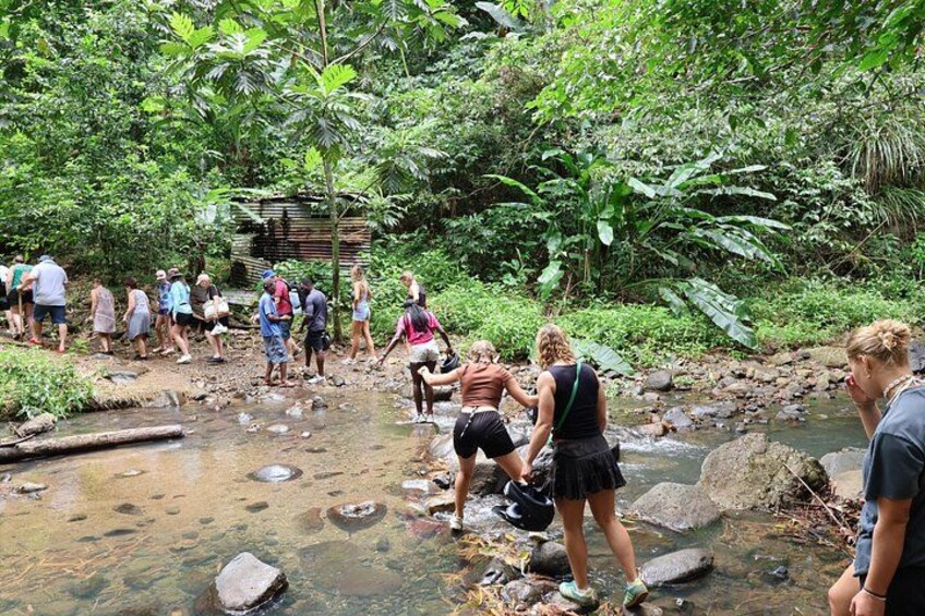 Un grupo de personas cruzando un arroyo poco profundo en un área boscosa con rocas y vegetación. 5