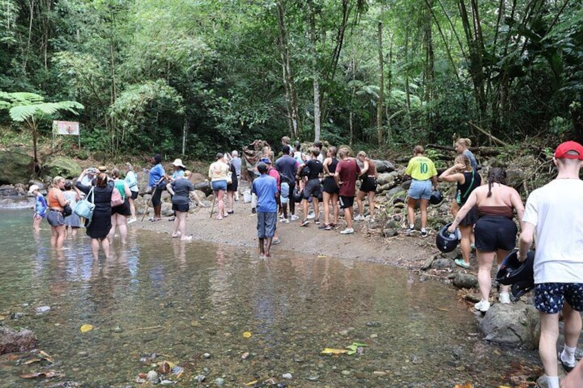 St Lucia ATV Tour : Waterfall, Plantation, Beach and Distillery 2