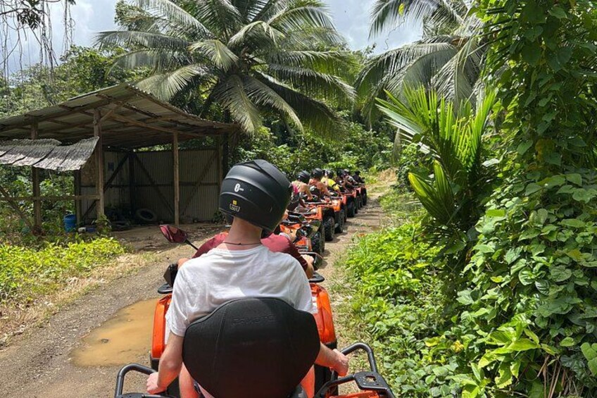 St Lucia ATV Tour : Waterfall, Plantation, Beach and Distillery 3