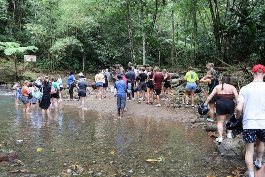 A group of people crossing a shallow river in a forested area. 2