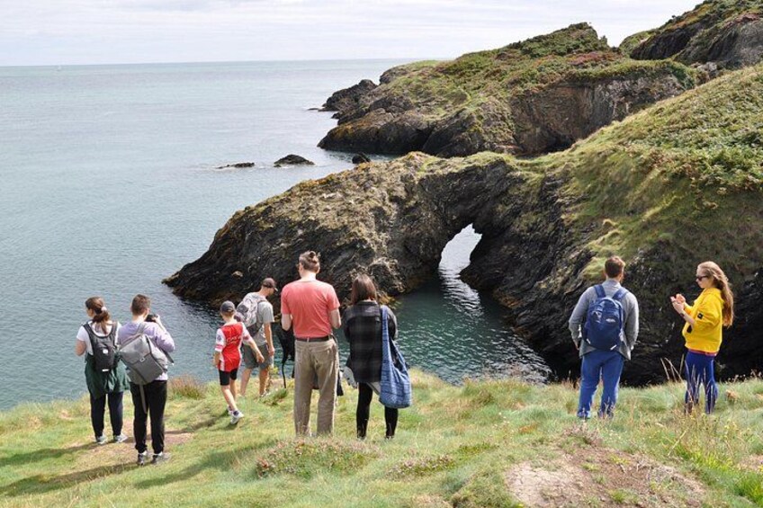 Day Tour from Dublin to Wicklow: Cliffs, Heritage, Wildlife, Gaol 4