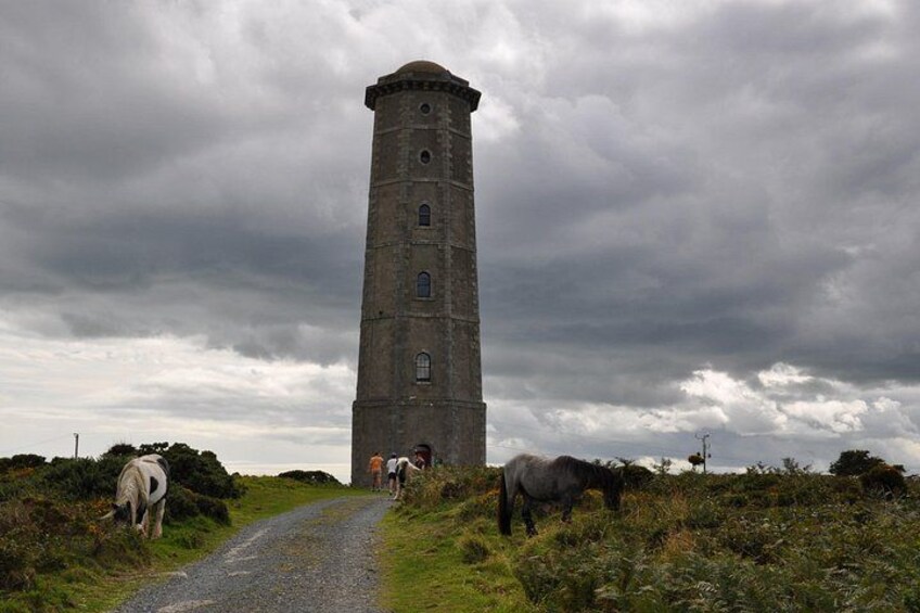 Day Tour from Dublin to Wicklow: Cliffs, Heritage, Wildlife, Gaol 3