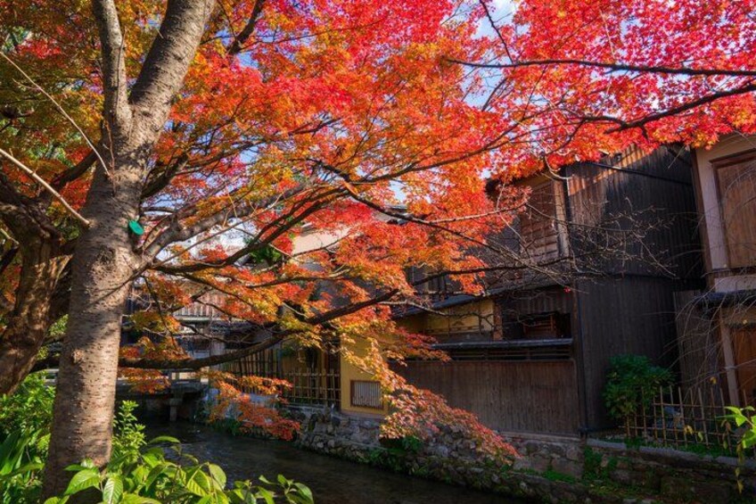 En traditionell japansk byggnad med ett trästaket, omgiven av träd med höstfärgade löv. 5