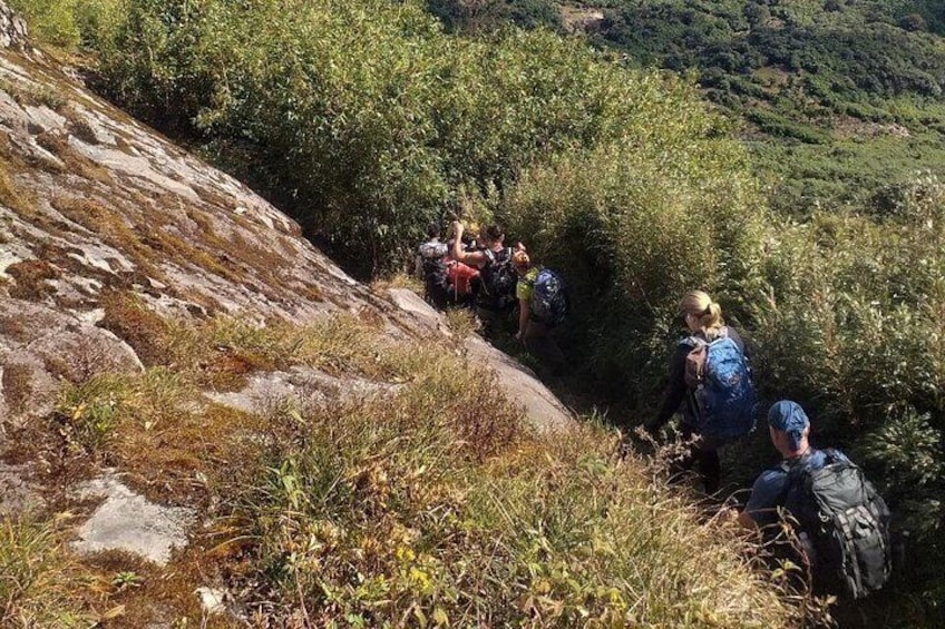 Hikers on a rocky trail surrounded by greenery. 5