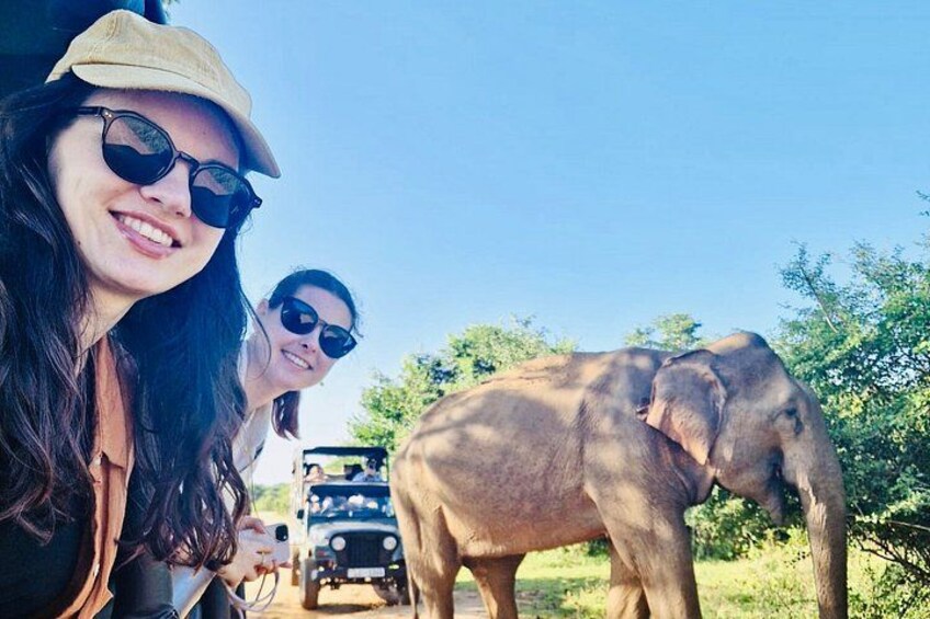 Una persona en un vehículo, con un elefante al fondo. 2