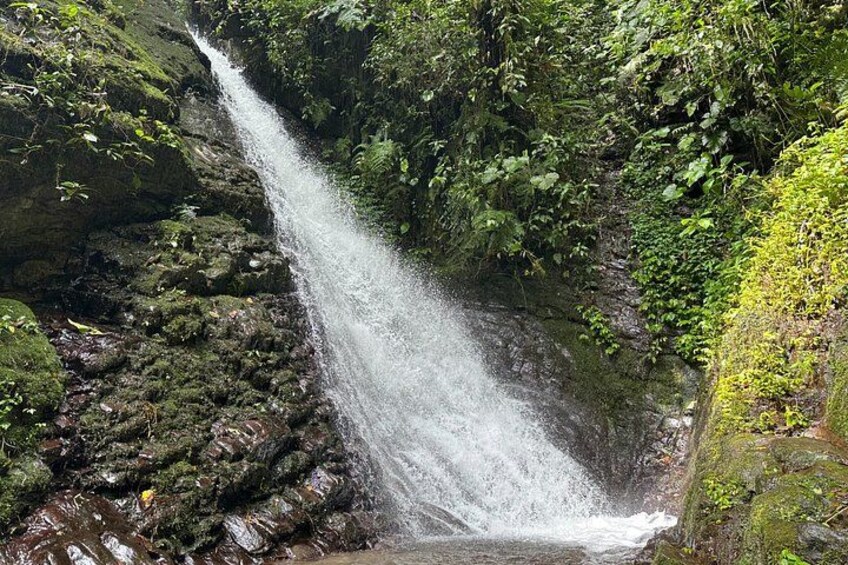Mindo Cloud Forest Guided Private Tour 3