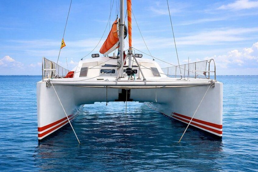 Full-Day Caribbean Catamaran Cruise: Beaches, Snorkeling & Lunch 5