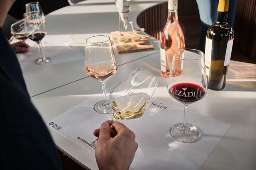 Visit to Bodegas Izadi 3