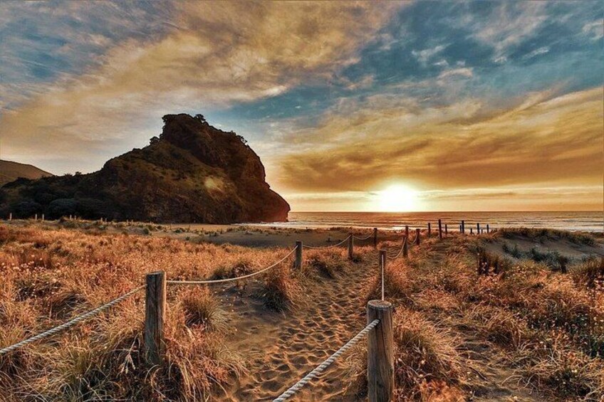 Private Piha Beach, Rainforest Adventure & Mt. Eden with Guide 2