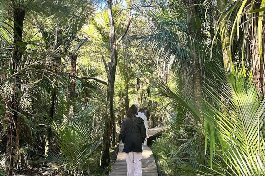 Private Piha Beach, Rainforest Adventure & Mt. Eden with Guide 4
