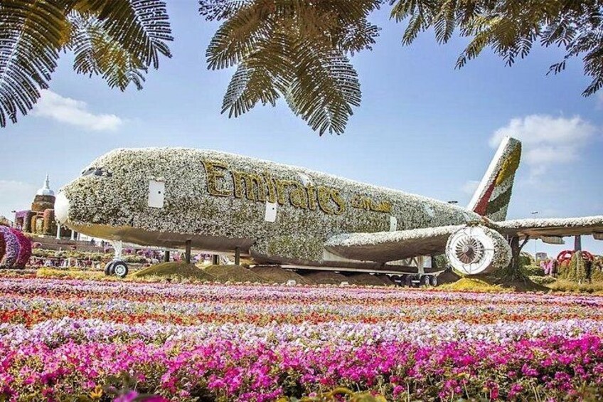 Dubai: Skip-The-Line Ticket to Dubai Miracle Garden with transfer 3