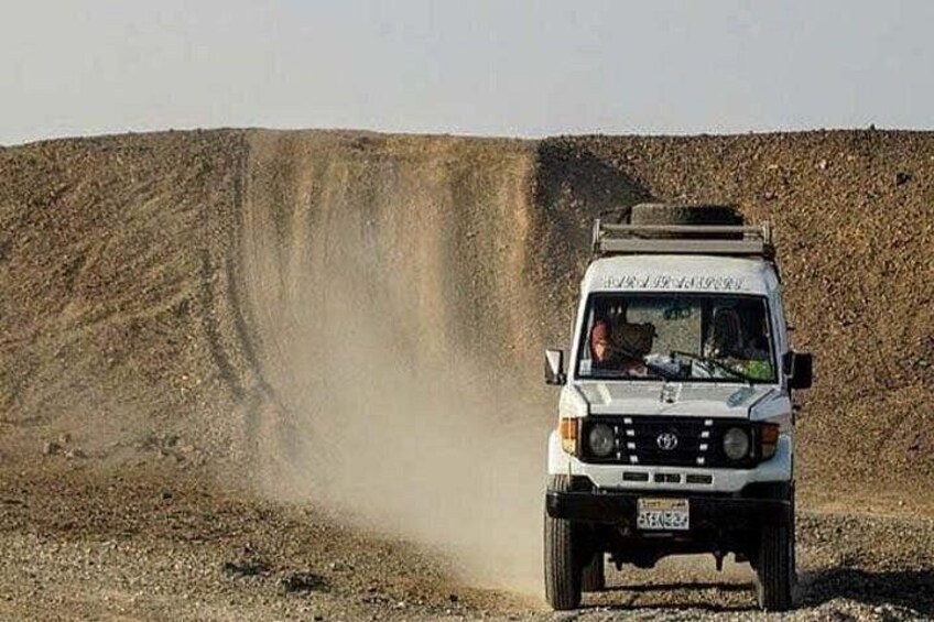 Hurghada Desert Safari Quad, Camel, Dinner & Show + Jeep 2