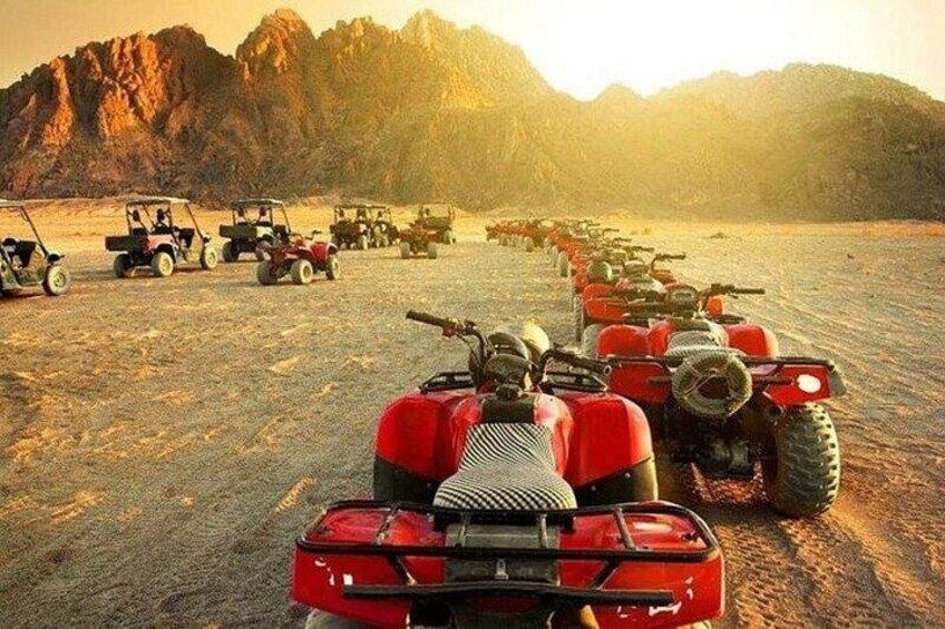 Hurghada Desert Safari Quad, Camel, Dinner & Show + Jeep 4
