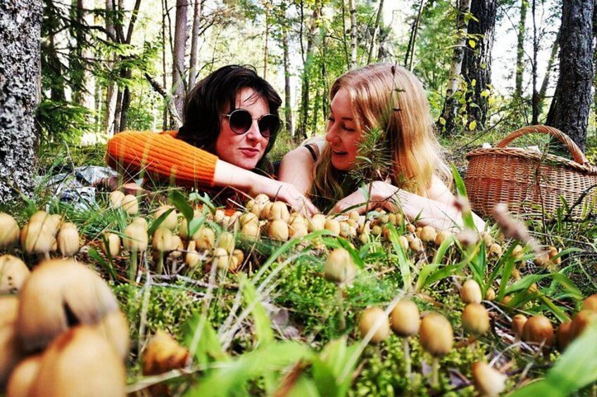 Autumn Mushroom Foraging the Exciting Latvian Tradition 3