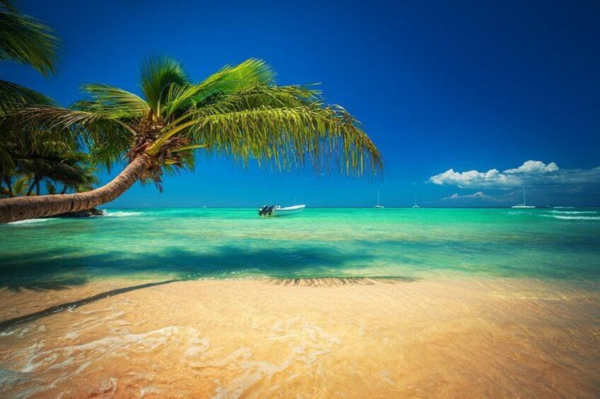 A beach with clear turquoise water, a palm tree, and a boat in the distance. 4