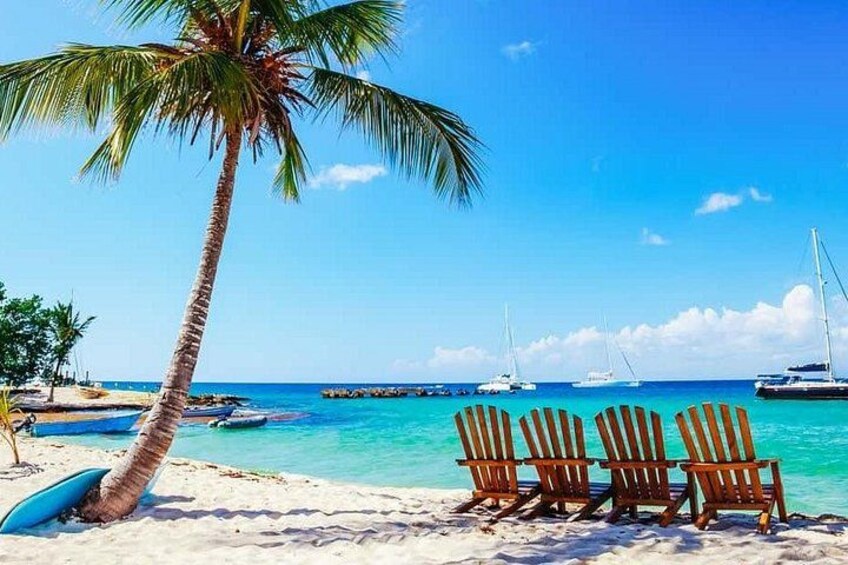 A beach with a palm tree, wooden chairs, and boats in the water. 1