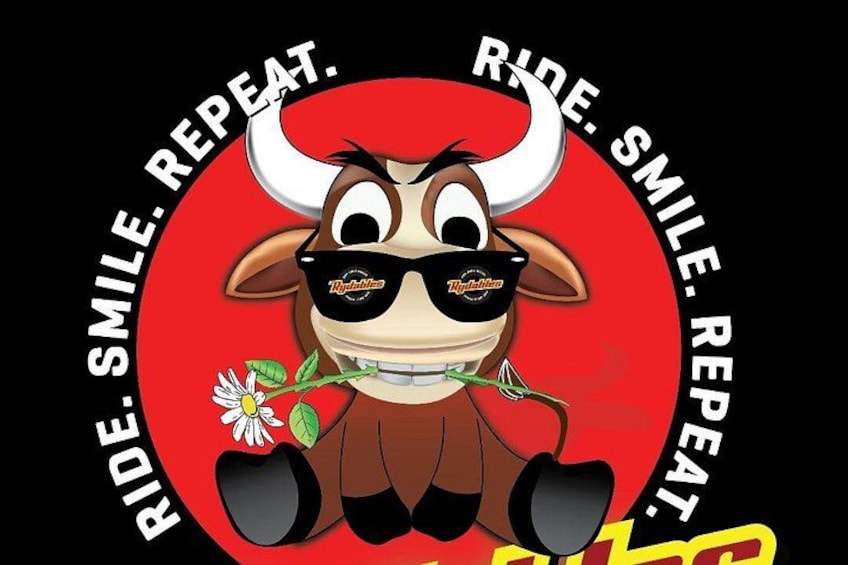A cartoon bull with sunglasses and a flower, surrounded by the text 'RIDE. SMILE. REPEAT.' 5