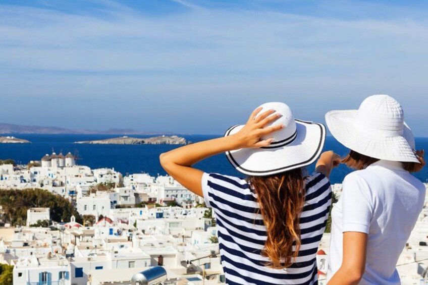 Mykonos Cruise Ship Stop: Tour with a Local Guide - Port Pick Up 1