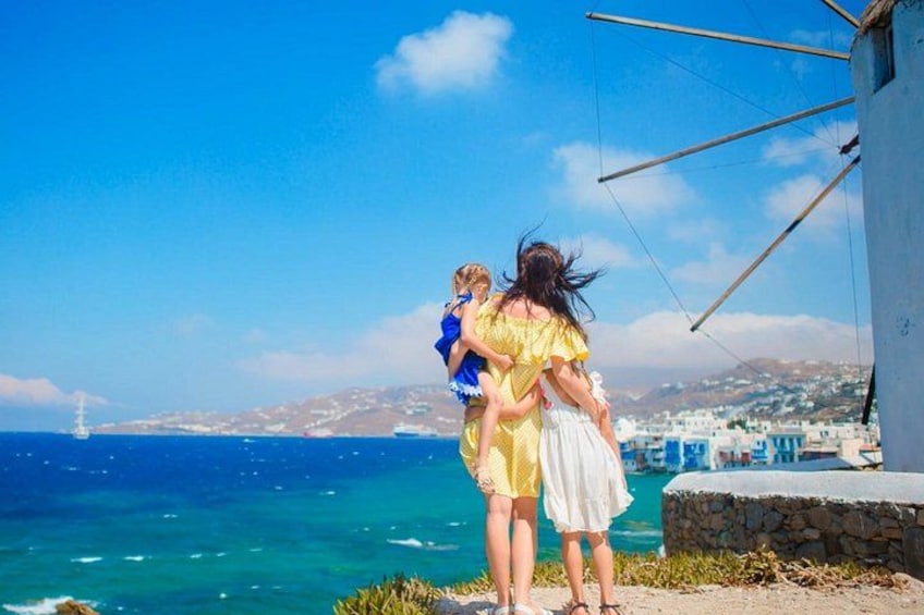 Mykonos Cruise Ship Stop: Tour with a Local Guide - Port Pick Up 5