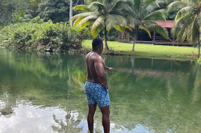 A person standing by a calm body of water with greenery and palm trees in the background. 5