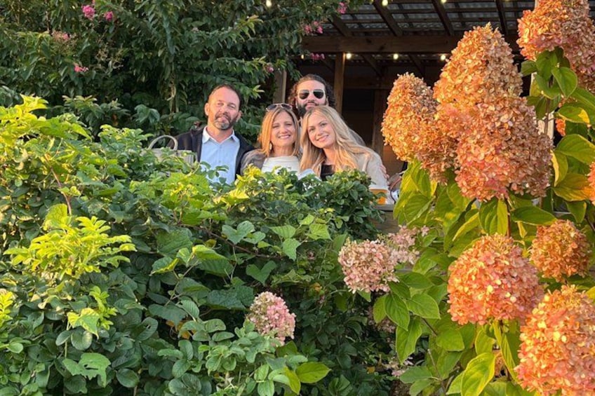 A garden with various plants and flowers, including hydrangeas. 2