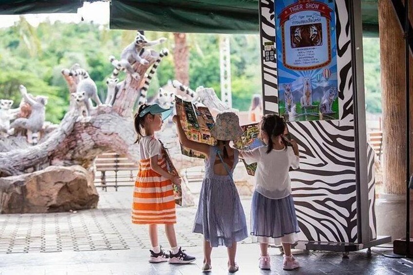 Chiang Mai Night Safari Park Ticket 4
