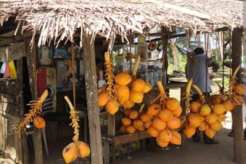 Un puesto de mercado con racimos de cocos colgando del techo. 1