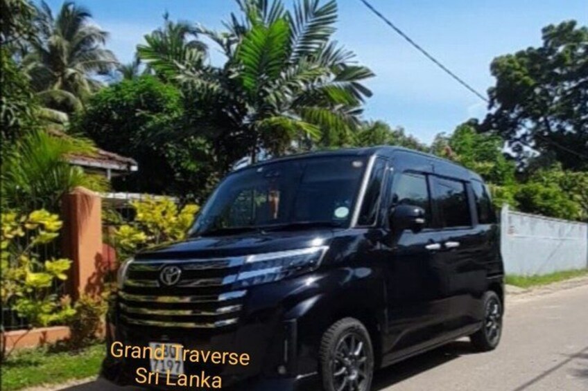 A black SUV parked on a road with lush greenery and palm trees in the background. 3