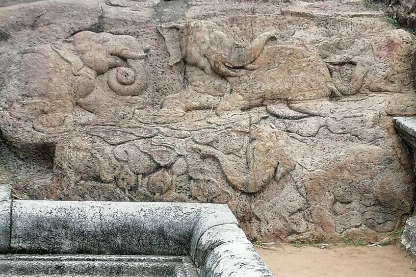 A rock face with carved elephant figures. 4