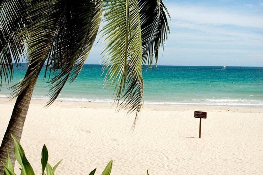 A beach with a palm tree, a sign, and the ocean. 1