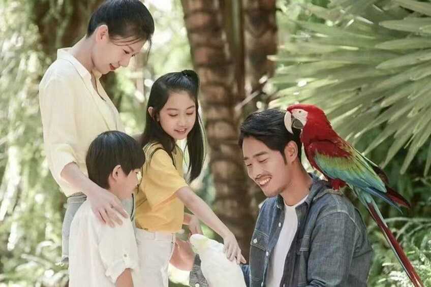 A family with a parrot, palm trees, and a child feeding the bird. 2