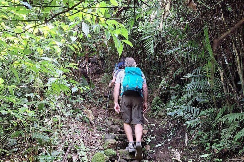 Hiking Mombacho Volcano, Crater Trail 4