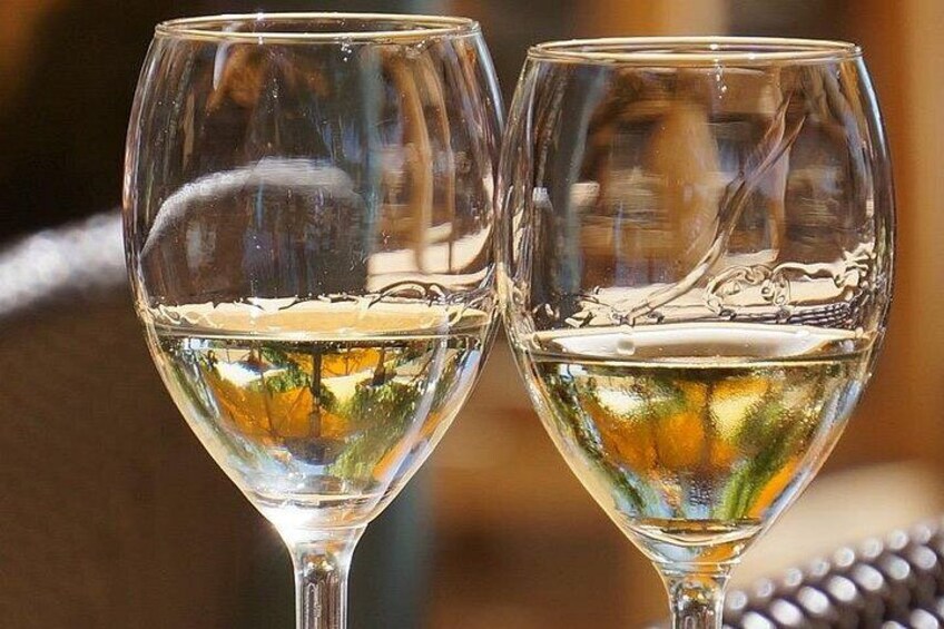Deux verres à vin dans lesquels se reflète la verdure, avec un arrière-plan flou. 2
