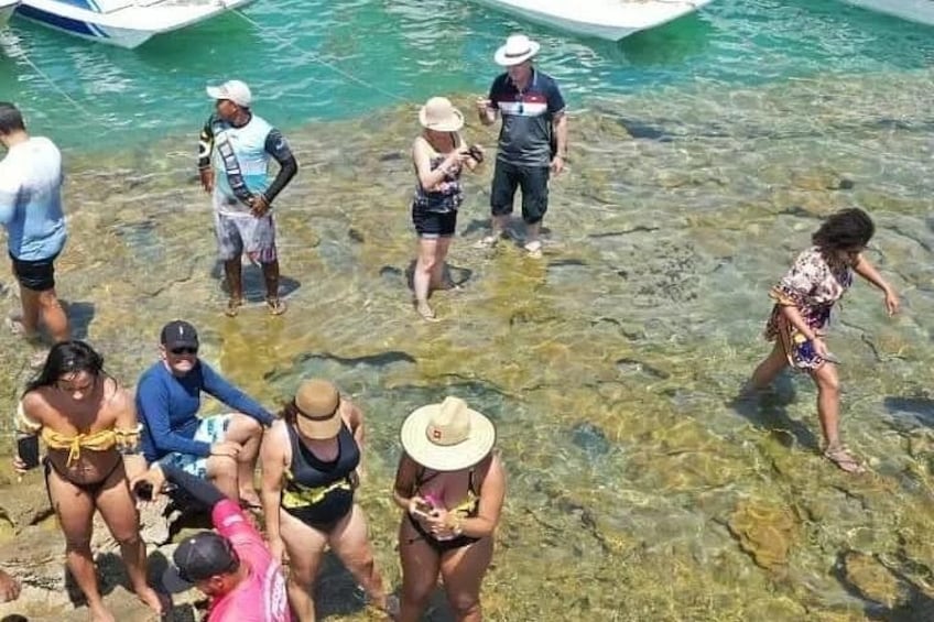Discovering the Natural Aquarium 2