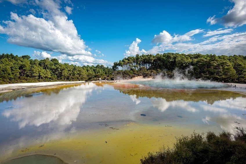 Auckland: Rotorua Tour with Waiotapu, Te Puia and Maori Haka 2