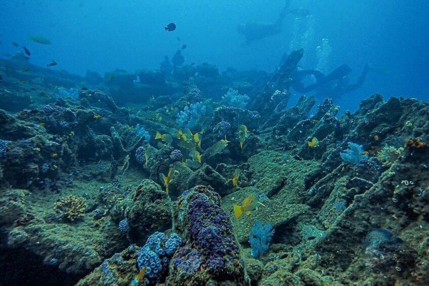 Start your scuba adventure today and get FREE underwater photos 4