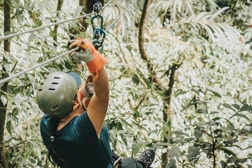 A person zip-lining through a forest. 3