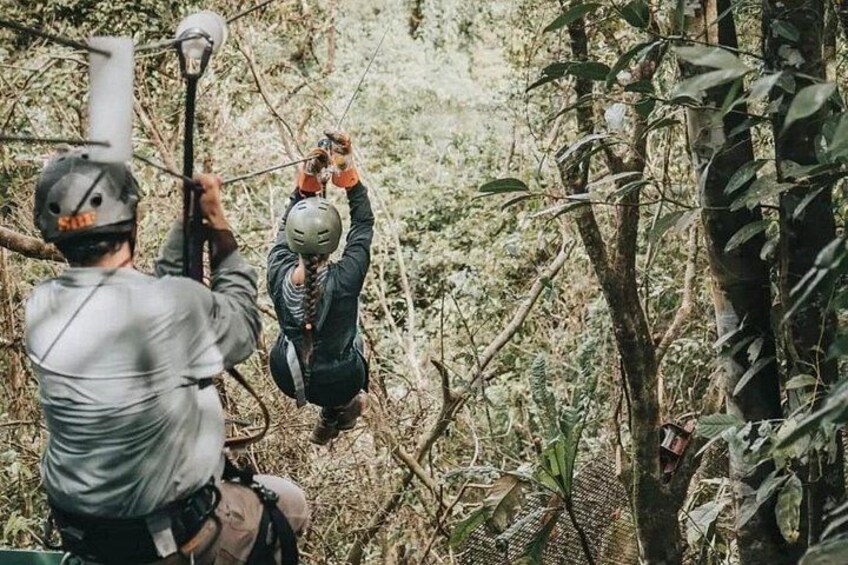 A person zip-lining through a forested area. 2